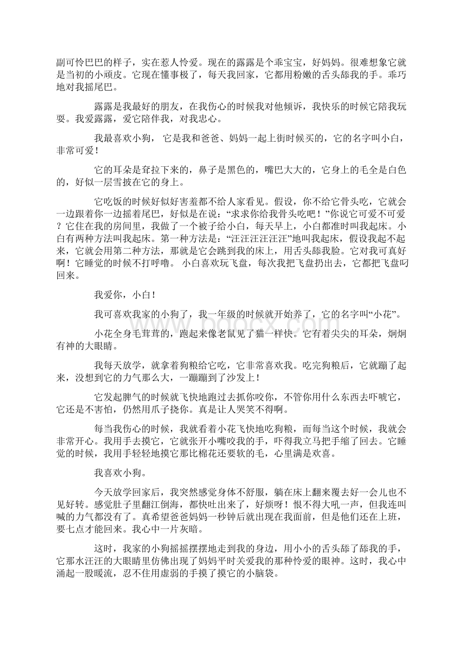 我喜欢小狗作文15篇Word格式文档下载.docx_第3页