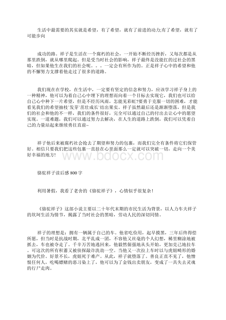 关于骆驼祥子的读后感的总结Word文档下载推荐.docx_第3页