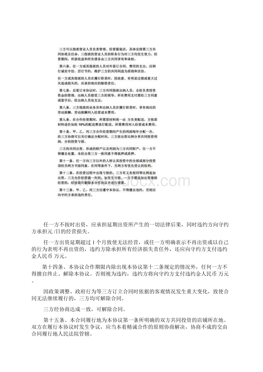 共同协议书范本Word文档格式.docx_第3页