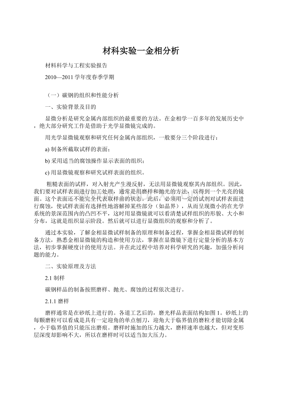 材科实验一金相分析Word下载.docx