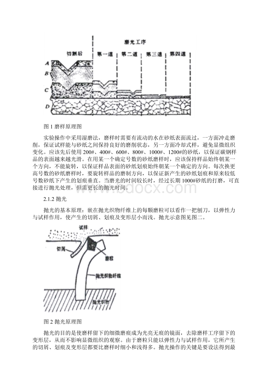 材科实验一金相分析Word下载.docx_第2页