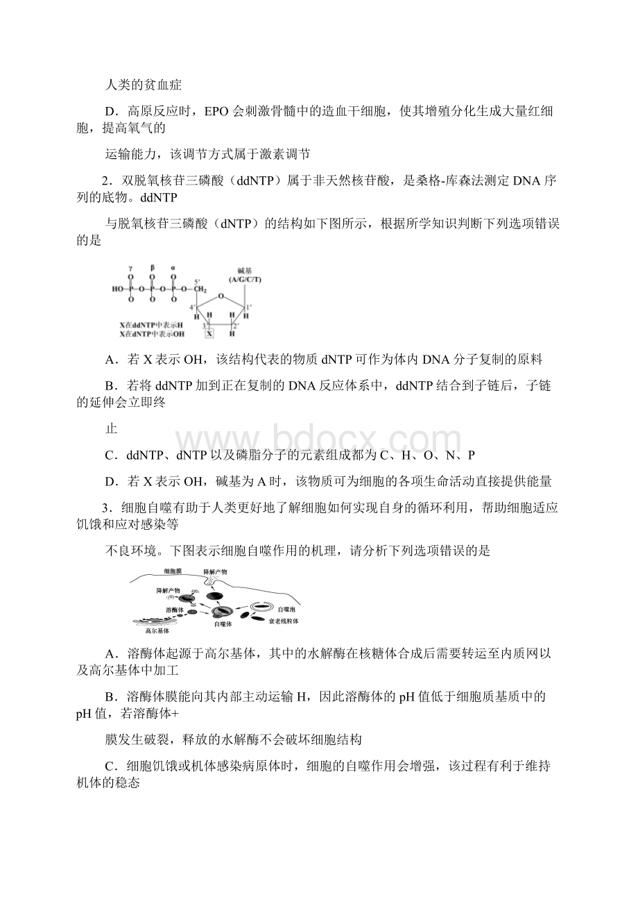 清华大学中学生标准学术能力诊断性测试届高三THUSSAT理科综合试题 含答案Word下载.docx_第2页