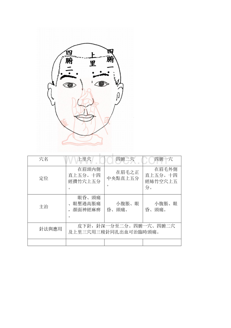 董氏针灸十十头面部位.docx_第2页