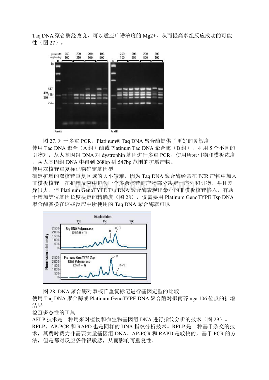 PCR和RTPCR710章Word格式文档下载.docx_第3页