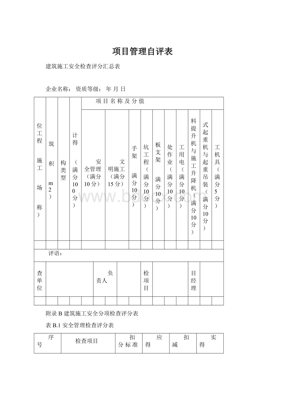 项目管理自评表Word下载.docx