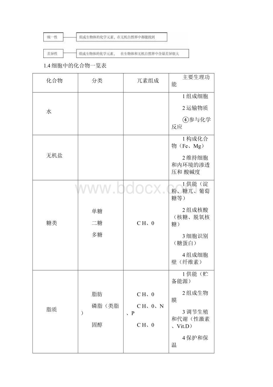 高三生物复习知识结构网络图教案.docx_第2页