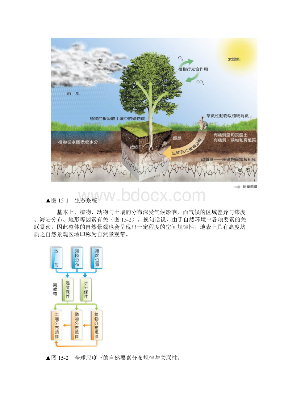 地理课本自然景观带Word文档下载推荐.docx_第2页