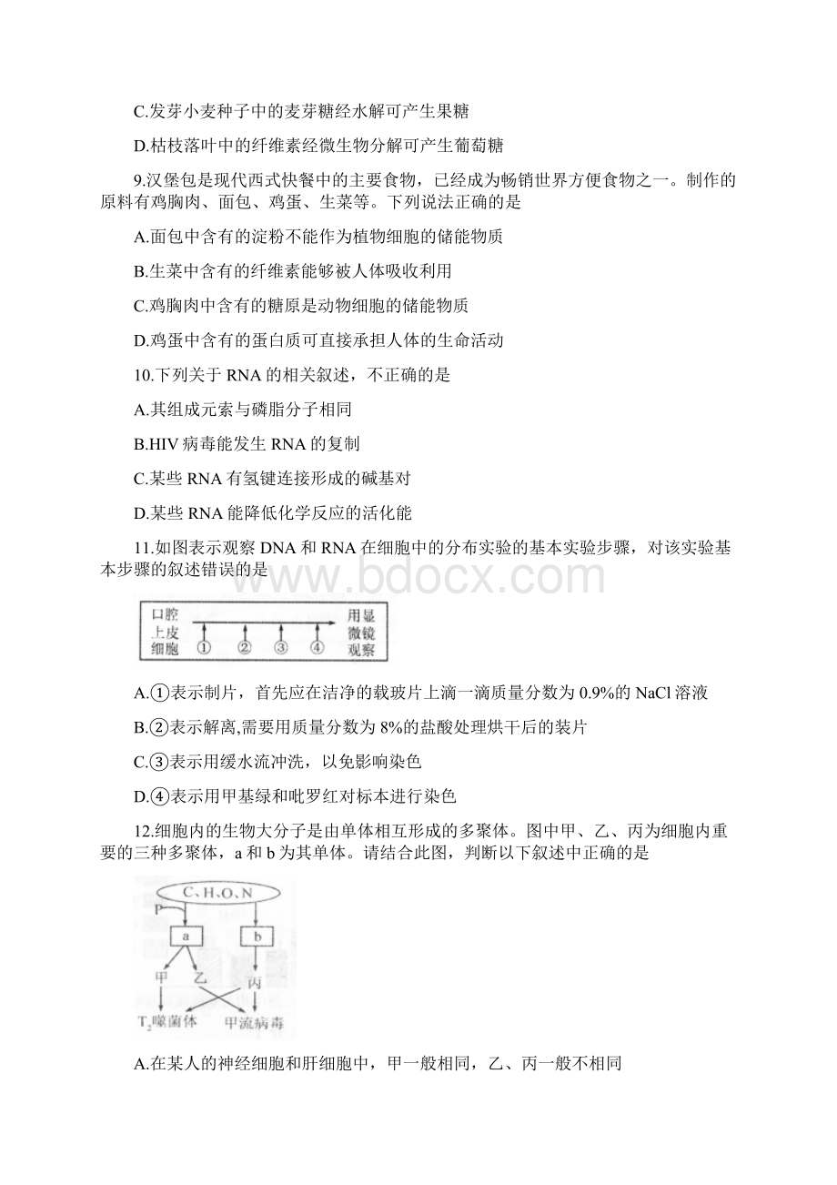 全国百强校河北省衡水中学届高三上学期一调考试生物试题.docx_第3页