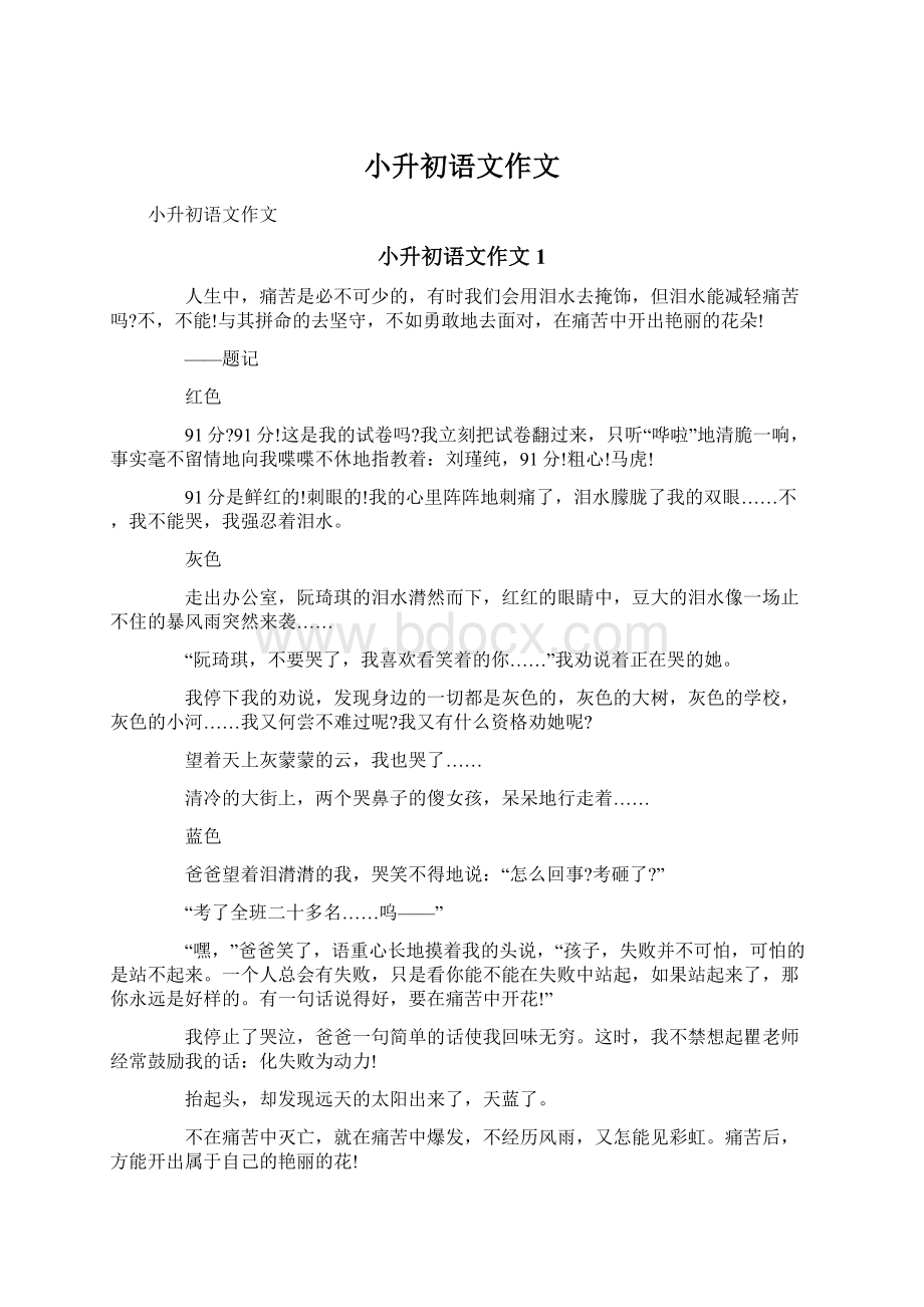 小升初语文作文Word格式文档下载.docx