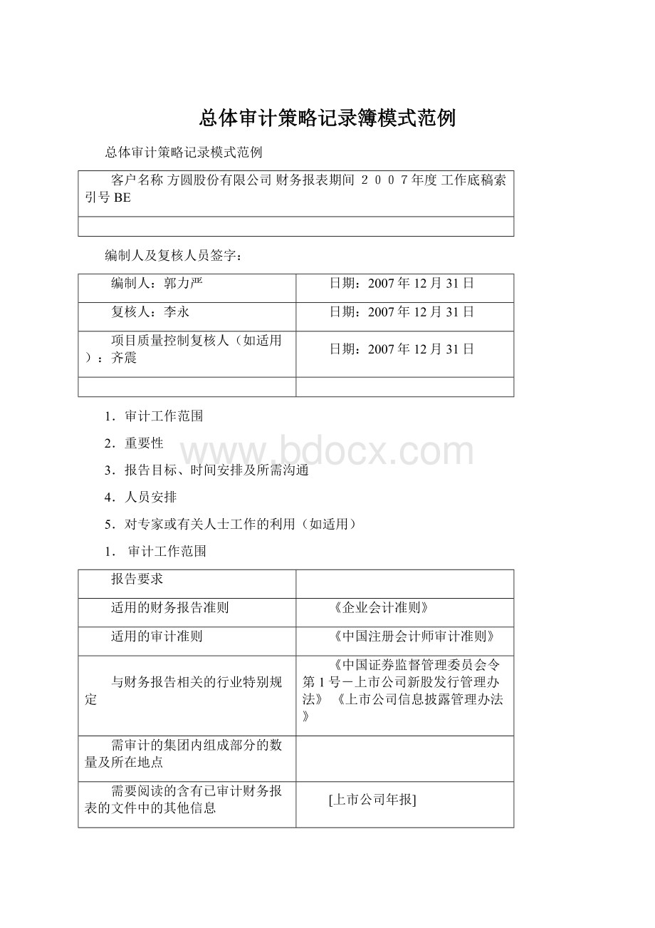 总体审计策略记录簿模式范例Word文档下载推荐.docx