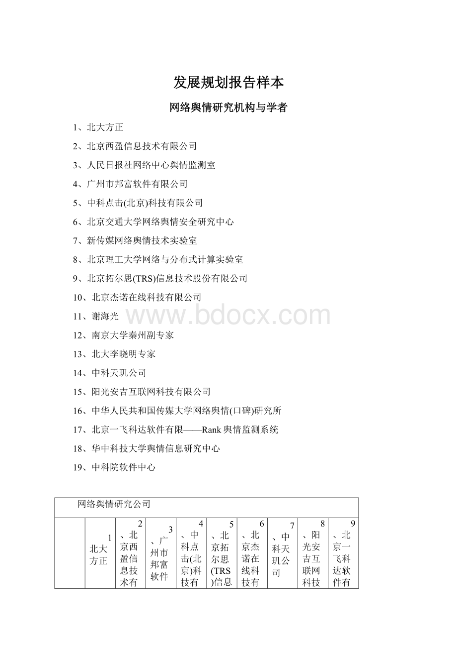 发展规划报告样本.docx