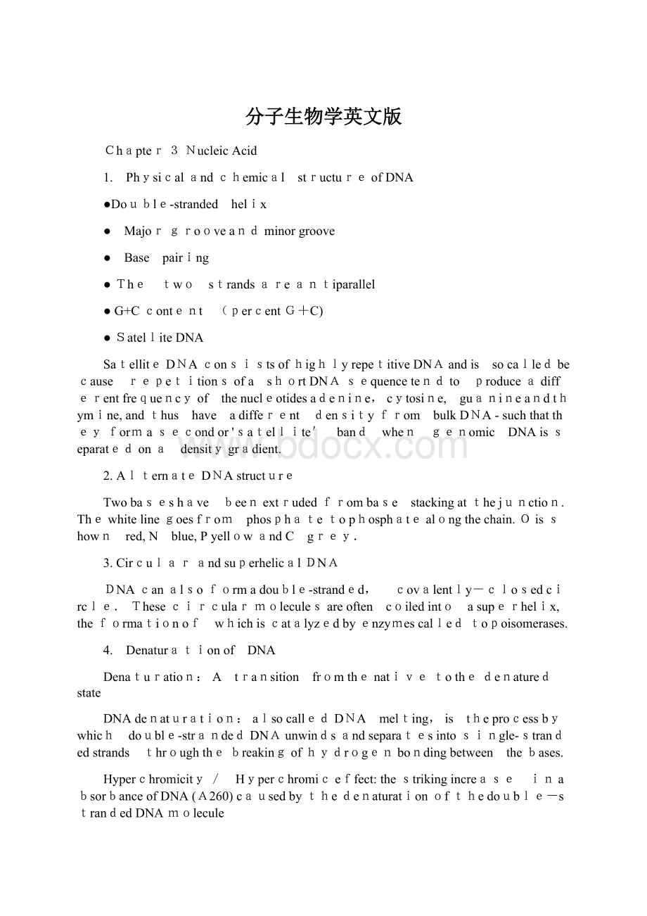 分子生物学英文版文档格式.docx