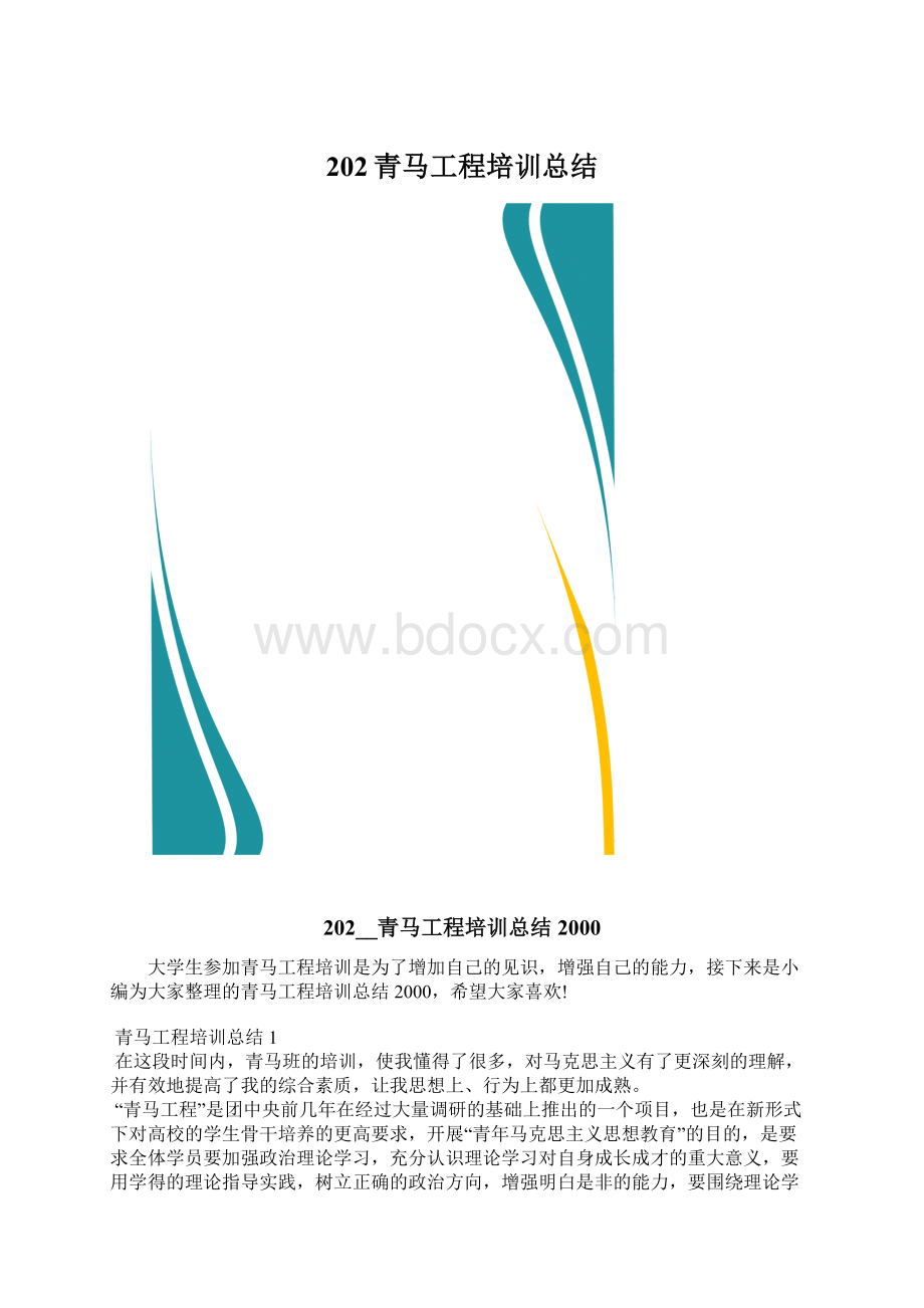 202青马工程培训总结Word格式文档下载.docx_第1页