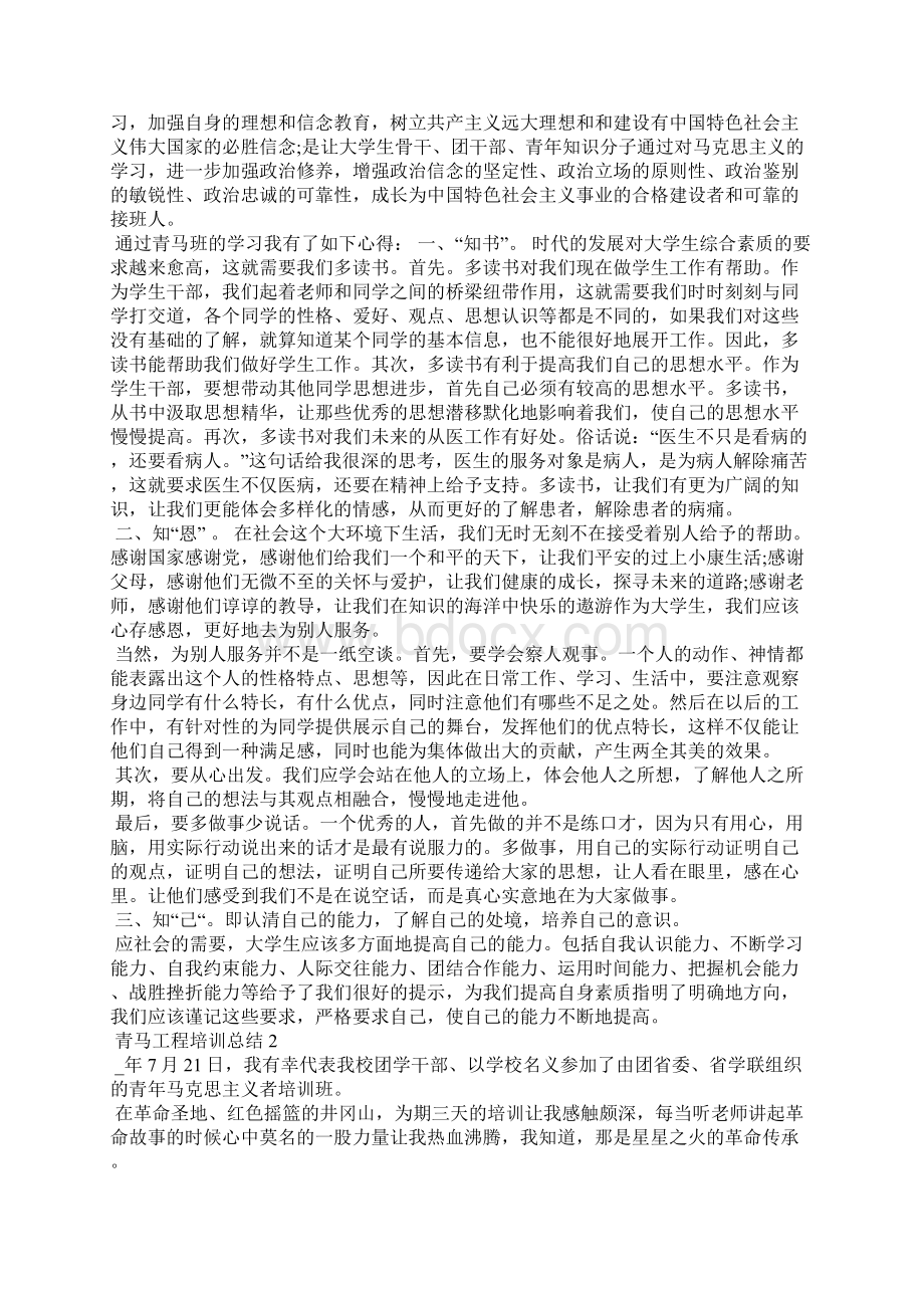 202青马工程培训总结Word格式文档下载.docx_第2页