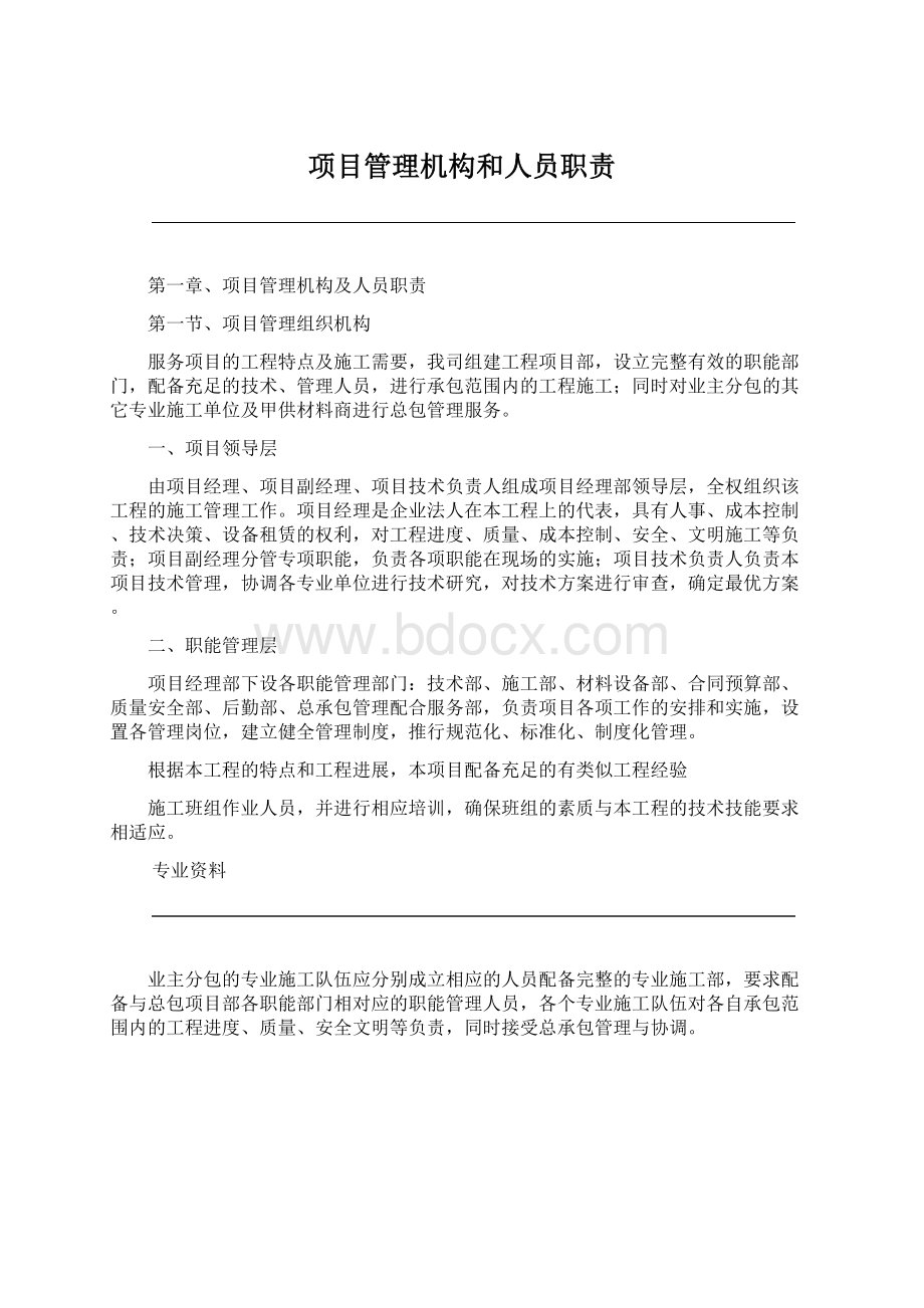 项目管理机构和人员职责文档格式.docx