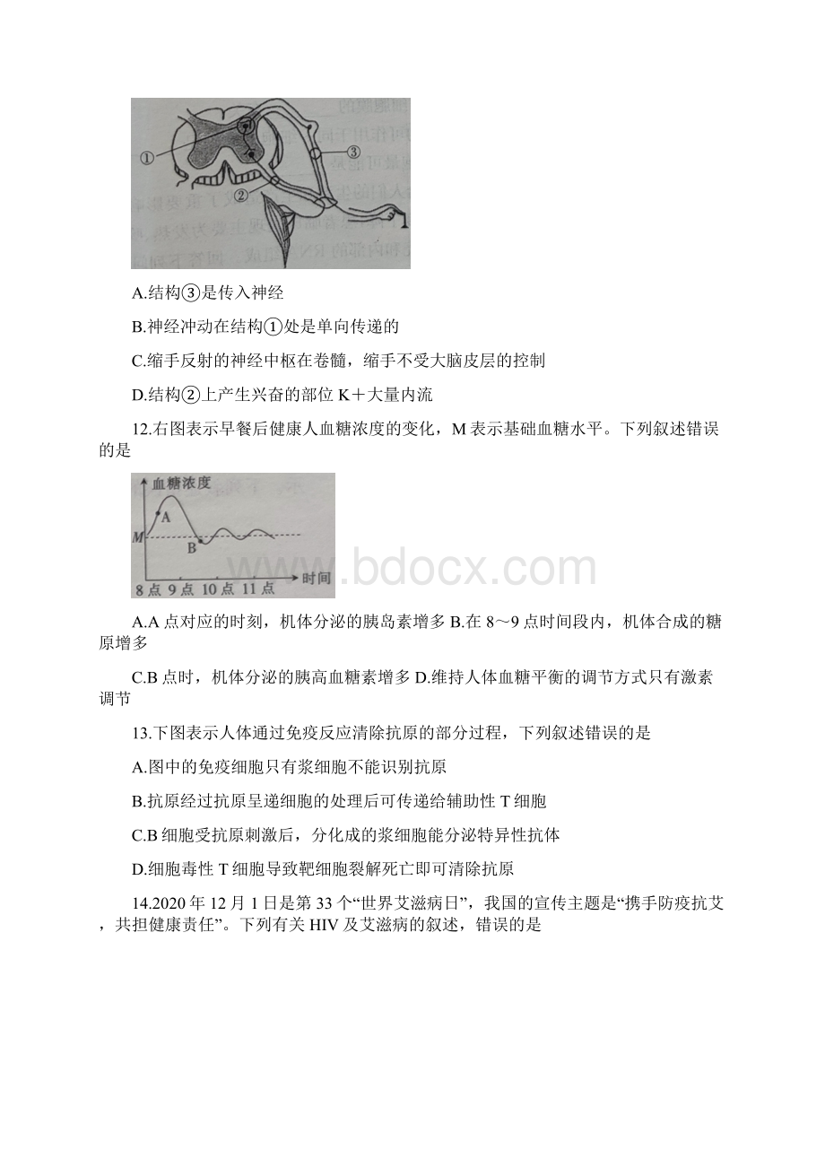 海南省学年高二生物上学期期末联考试题0318Word文档格式.docx_第3页