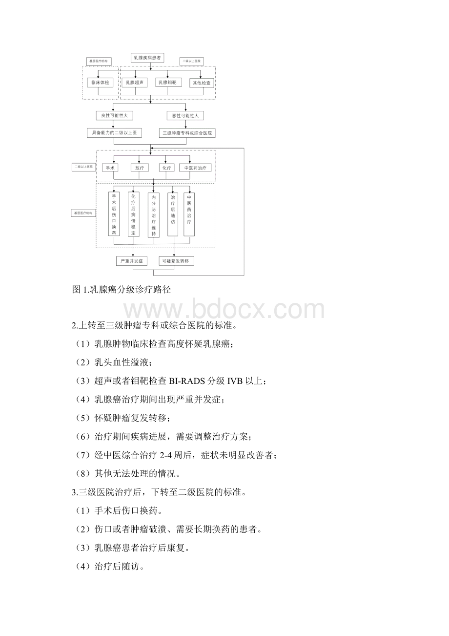 乳腺癌分级诊疗服务技术方案Word下载.docx_第3页