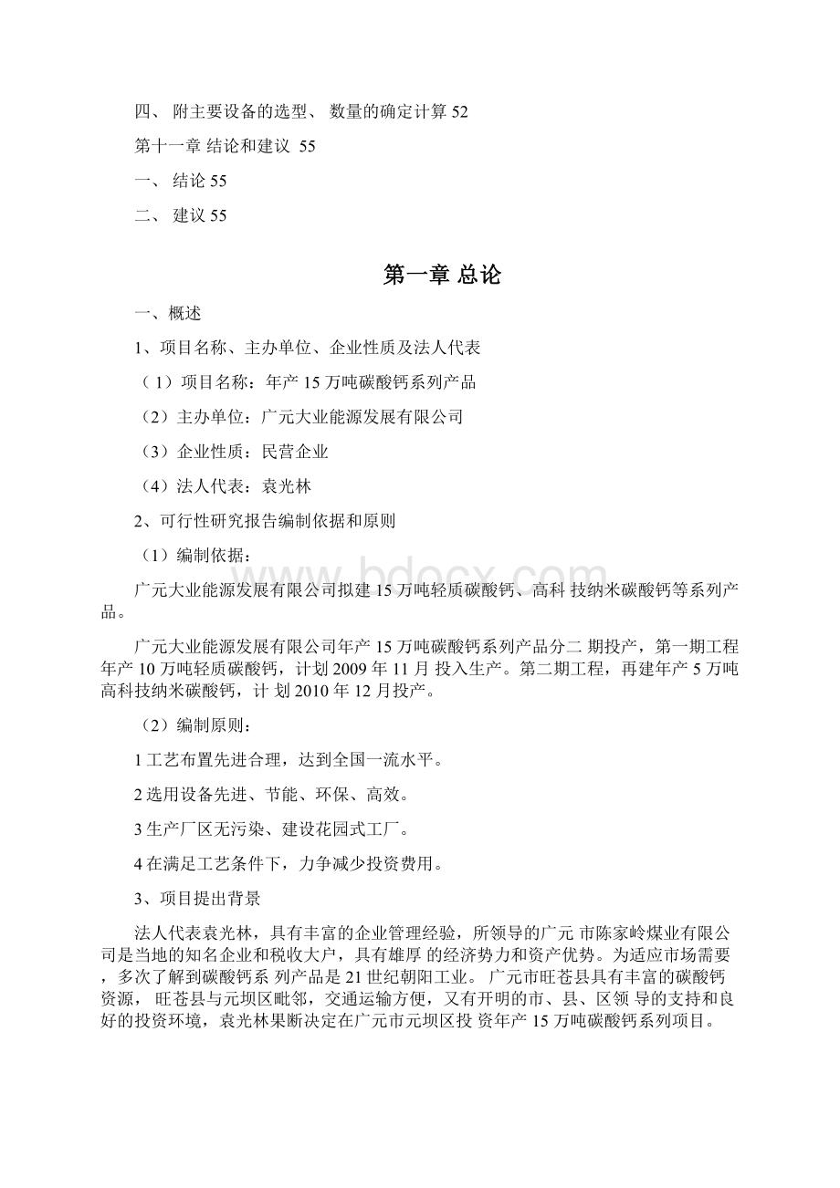 碳酸钙可行性报告书文档格式.docx_第3页