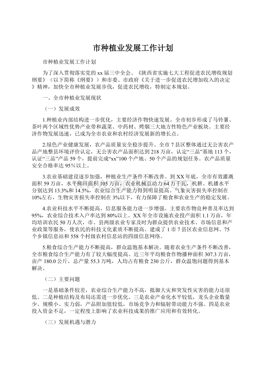 市种植业发展工作计划文档格式.docx