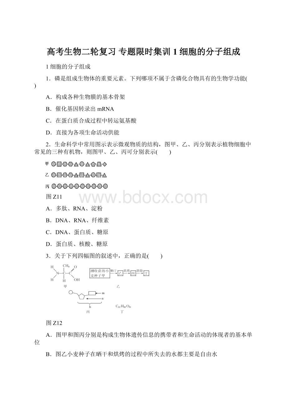 高考生物二轮复习 专题限时集训1 细胞的分子组成Word文档下载推荐.docx