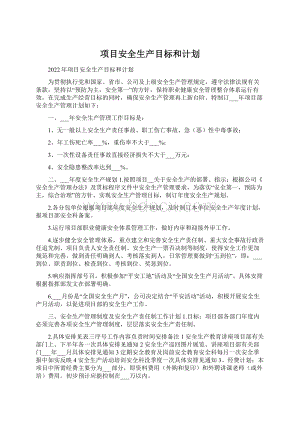 项目安全生产目标和计划.docx