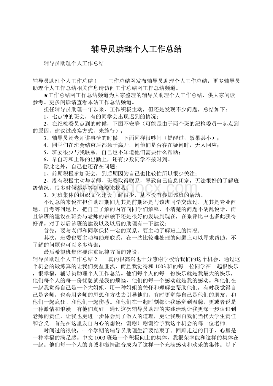 辅导员助理个人工作总结Word文档下载推荐.docx