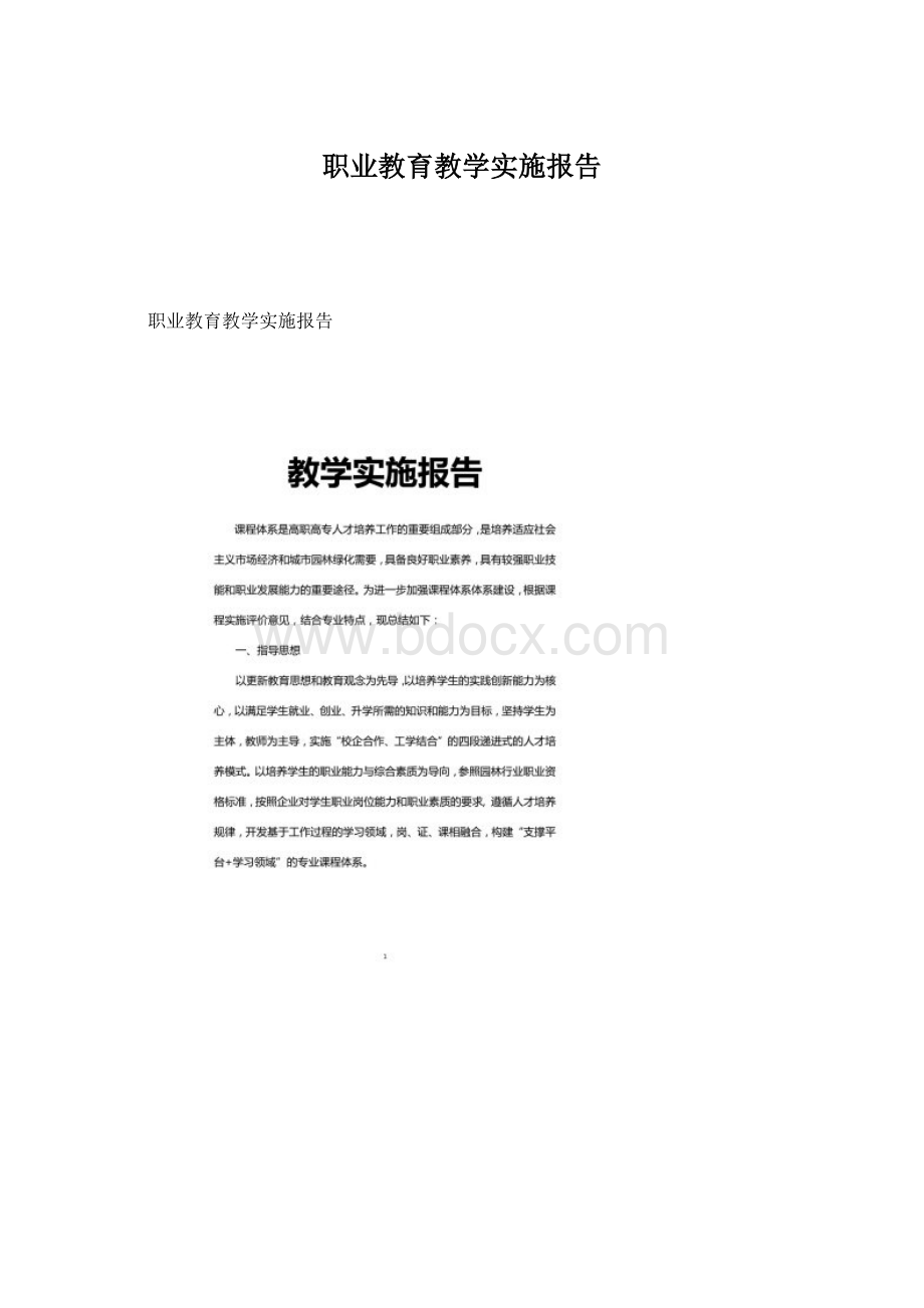 职业教育教学实施报告Word文档下载推荐.docx_第1页