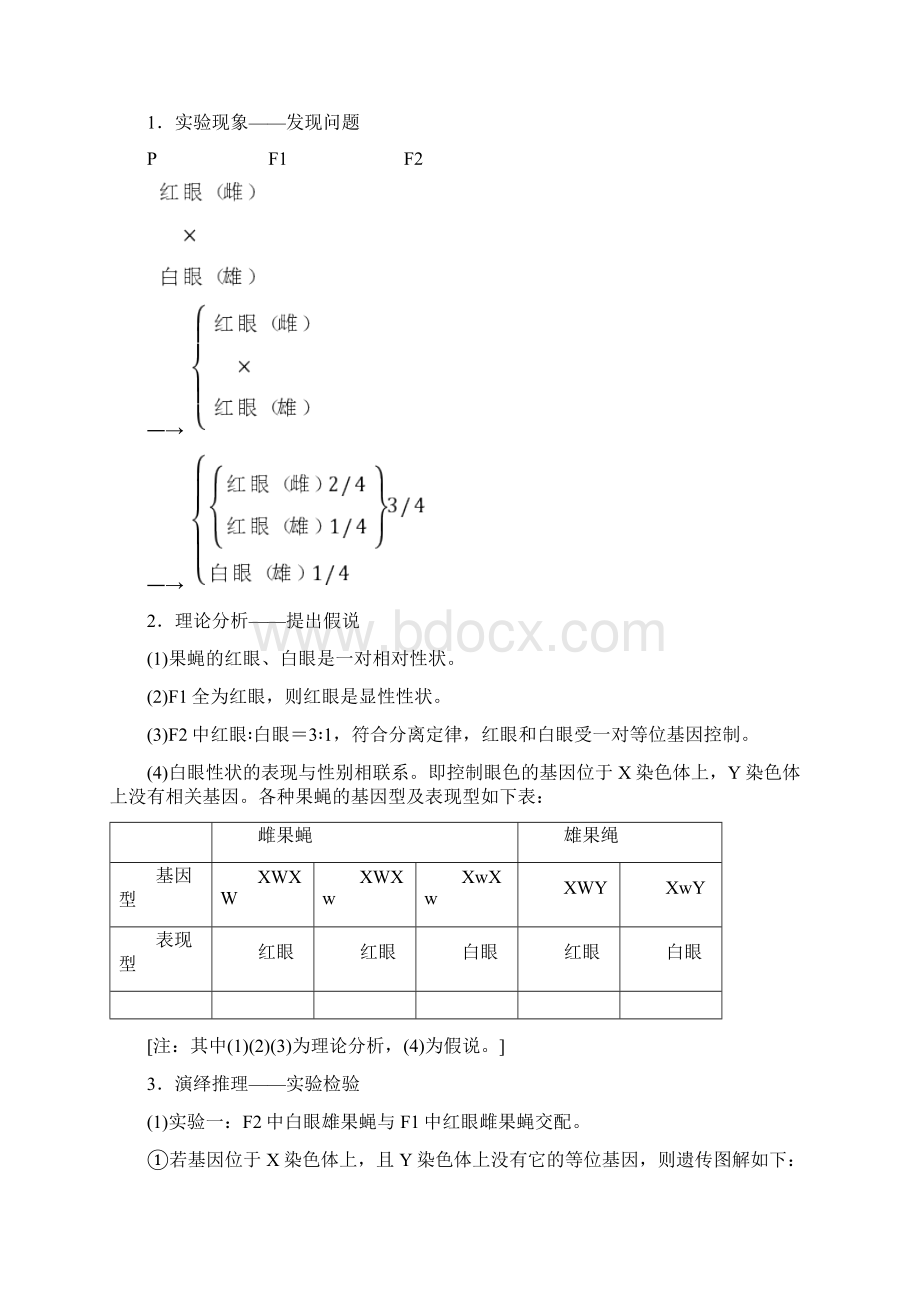 人教版生物必修二讲义第2章第2节基因在染色体上Word格式.docx_第3页