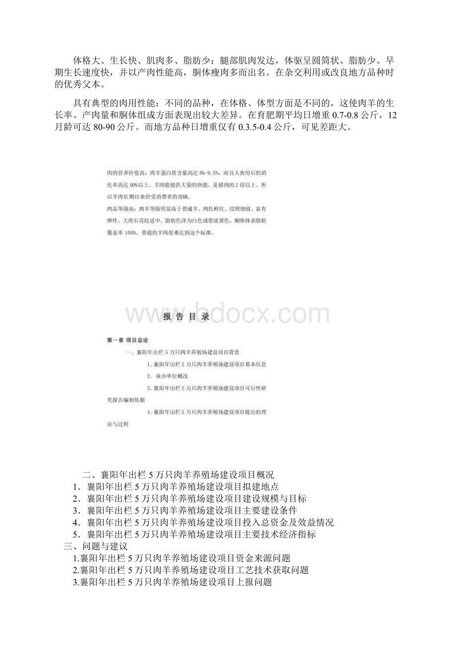 襄阳年出栏5万只肉羊养殖场建设项目可行性研究报告Word文件下载.docx_第2页