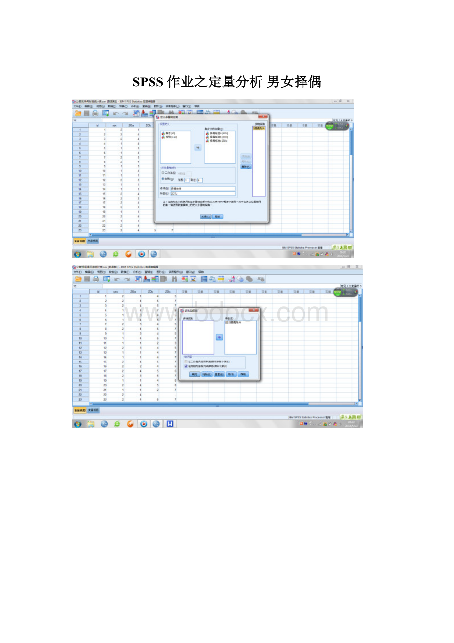 SPSS作业之定量分析 男女择偶.docx