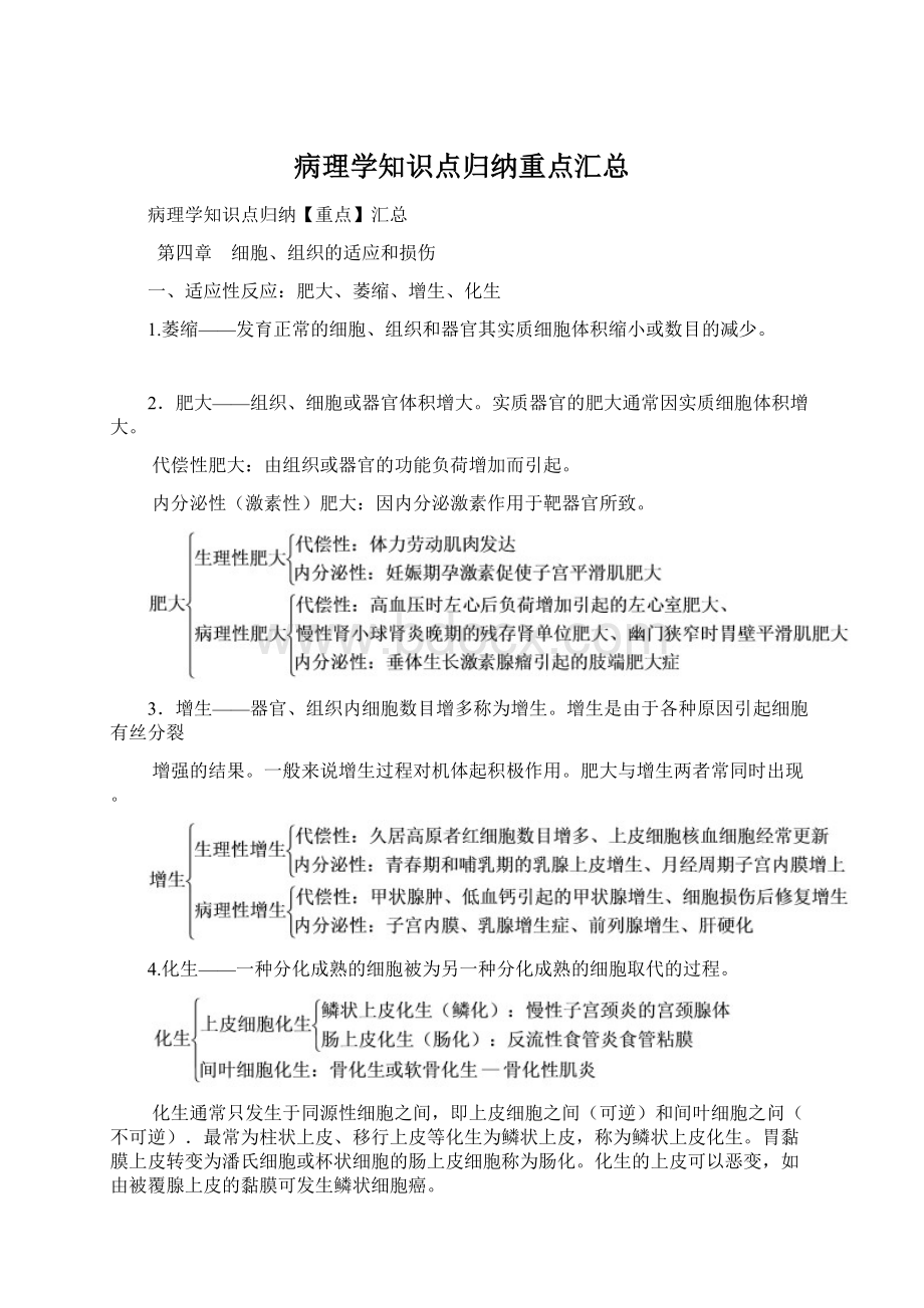 病理学知识点归纳重点汇总Word文件下载.docx_第1页