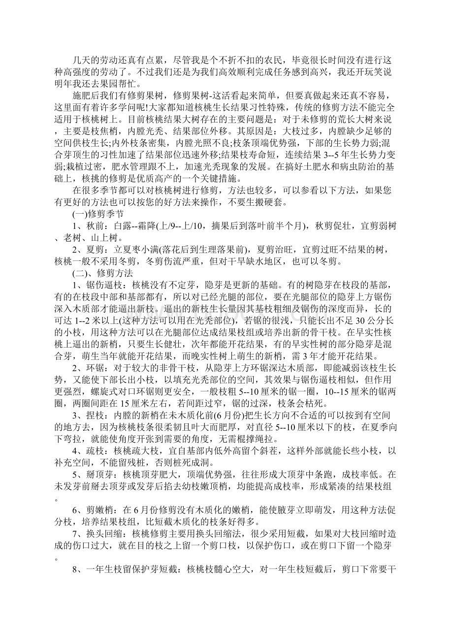 大学生农村果园社会实践报告Word文档格式.docx_第2页