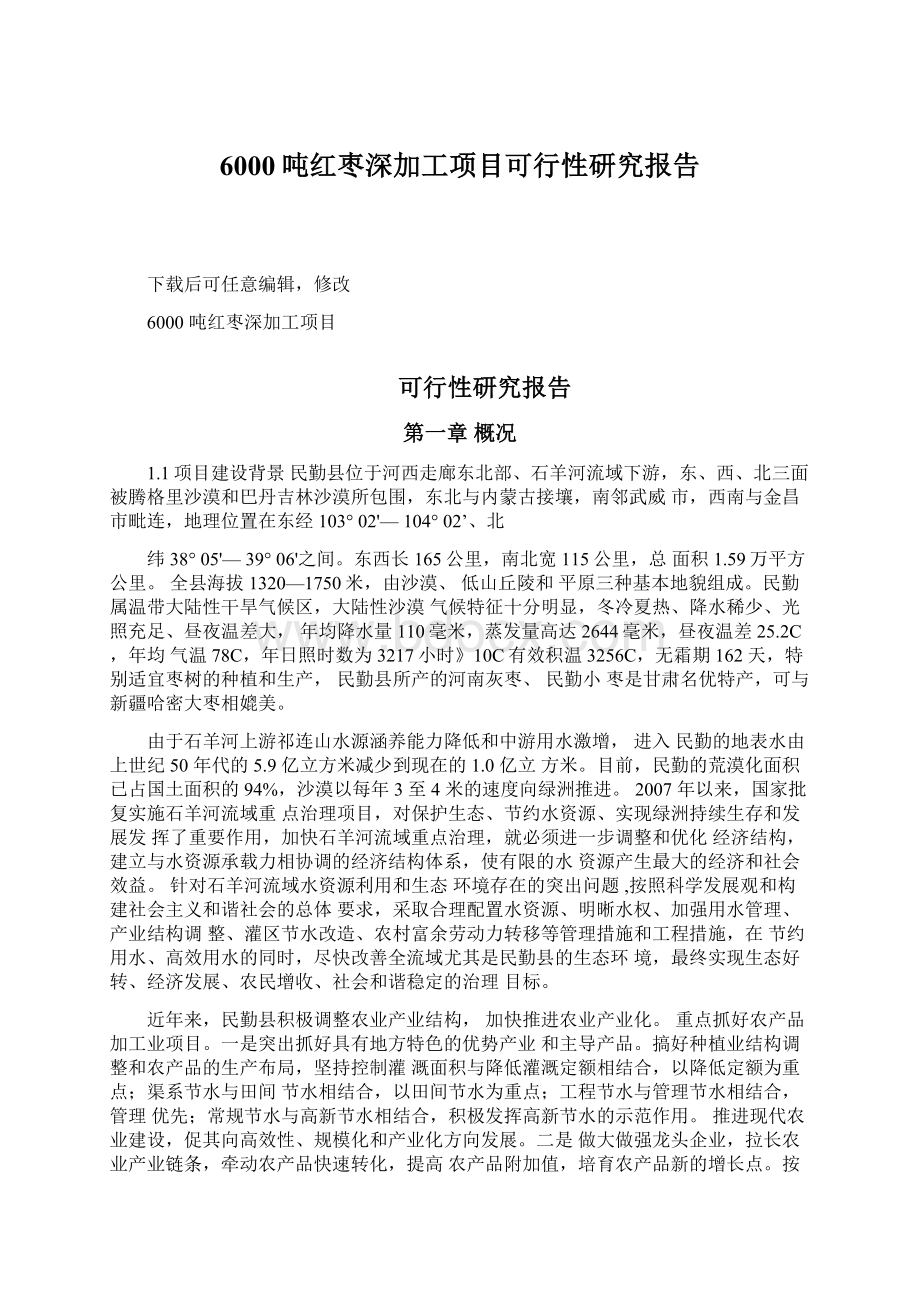 6000吨红枣深加工项目可行性研究报告.docx