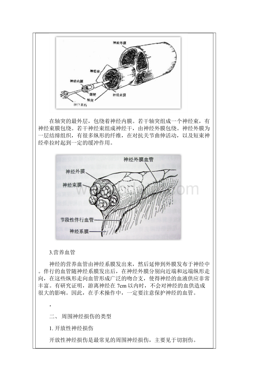 周围神经损伤及修复.docx_第2页