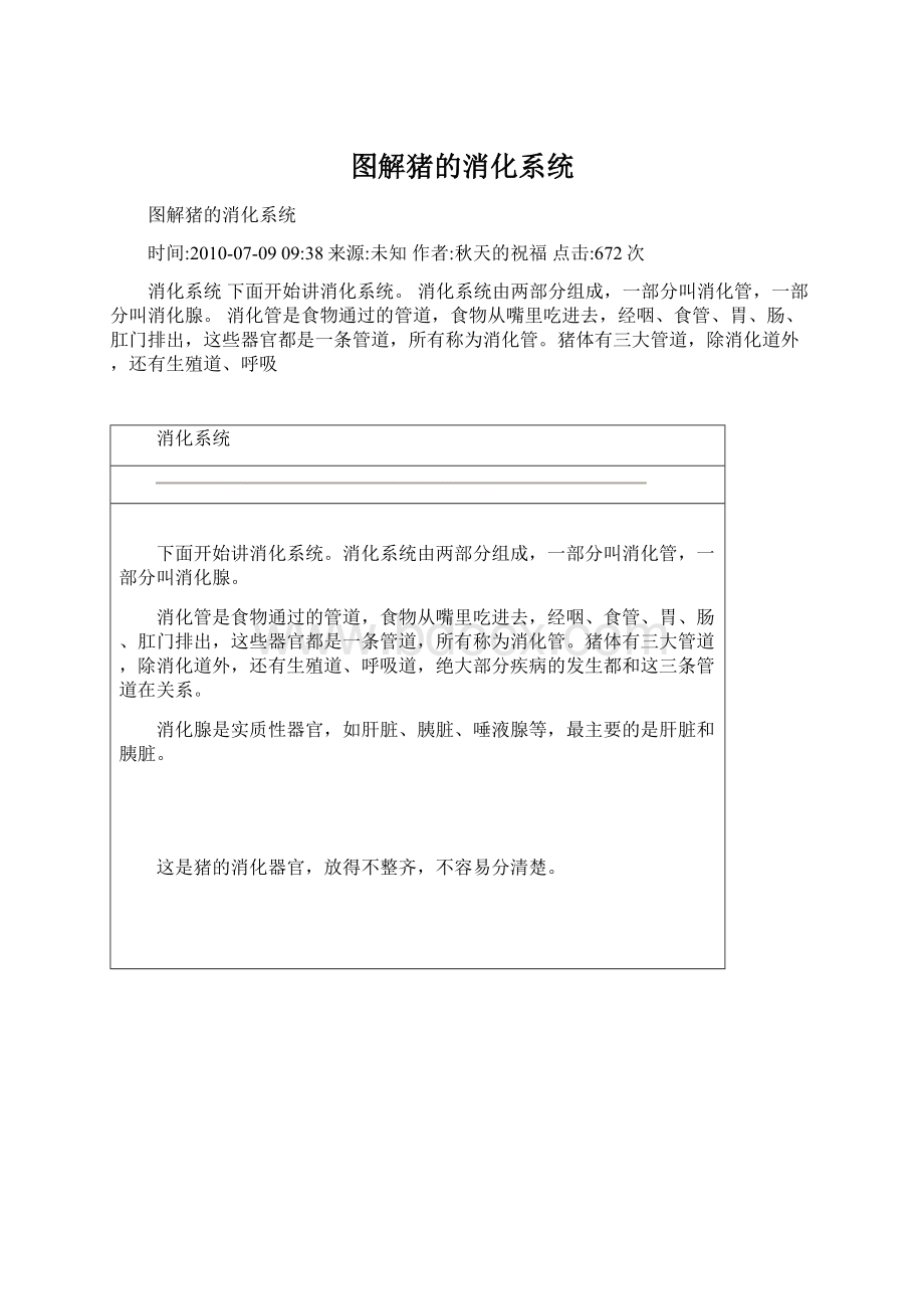 图解猪的消化系统.docx