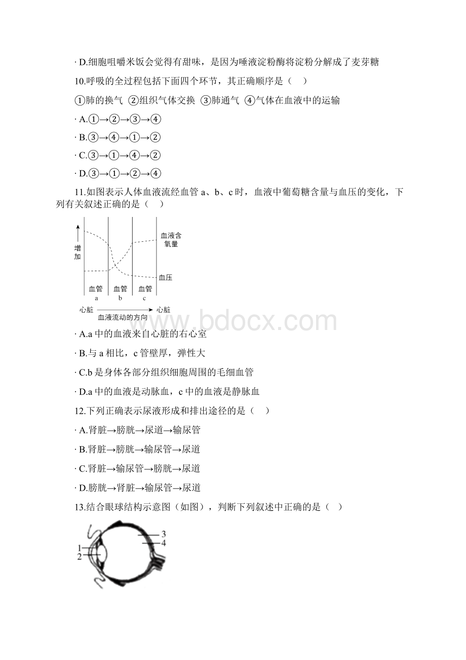 寒假28天规划练习生物.docx_第3页