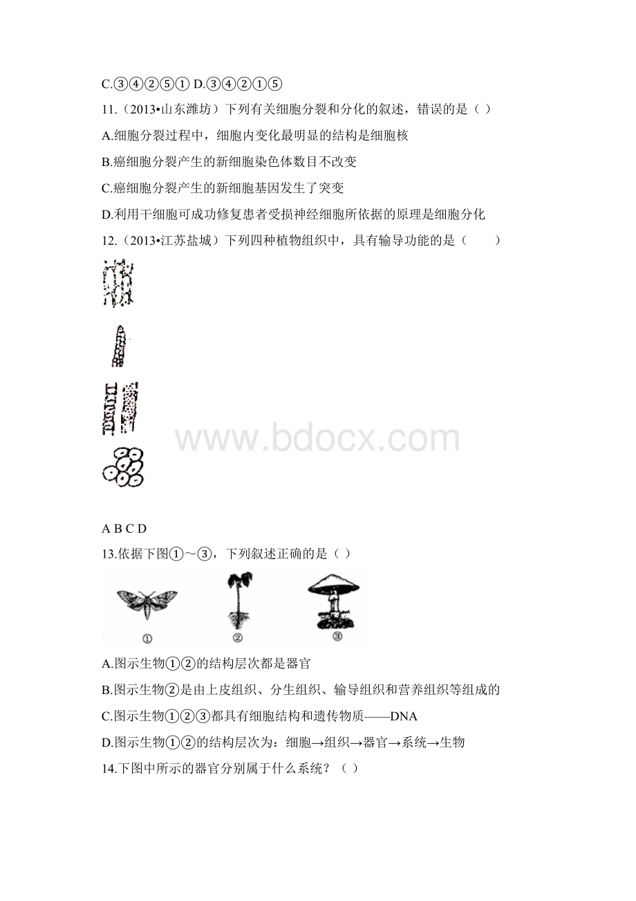 浙教版科学七年级上册第2章观察生物单元测试题.docx_第3页