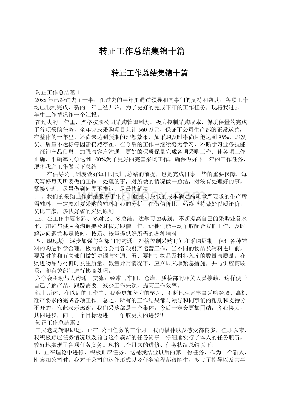 转正工作总结集锦十篇文档格式.docx