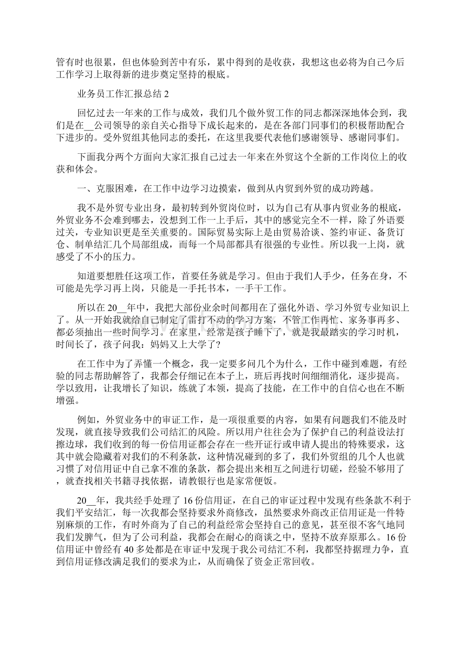 业务员工作汇报总结五篇.docx_第2页