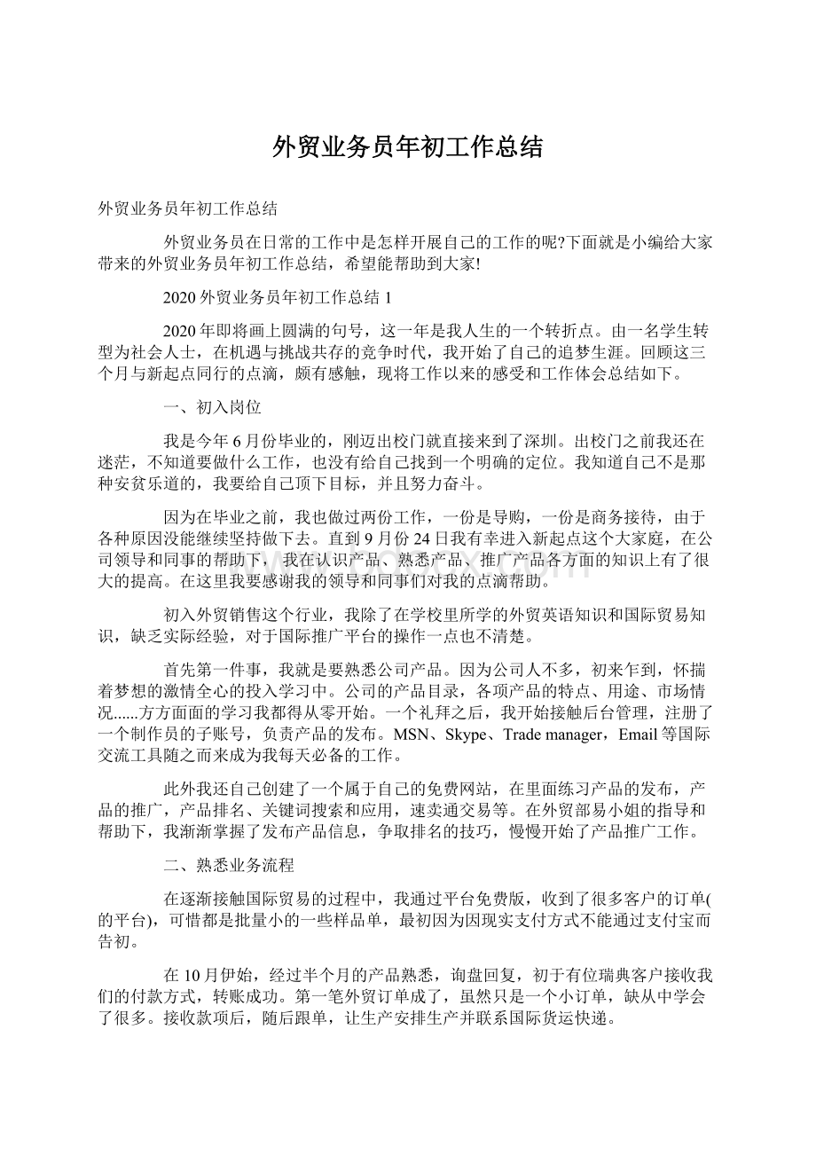 外贸业务员年初工作总结Word文档格式.docx_第1页