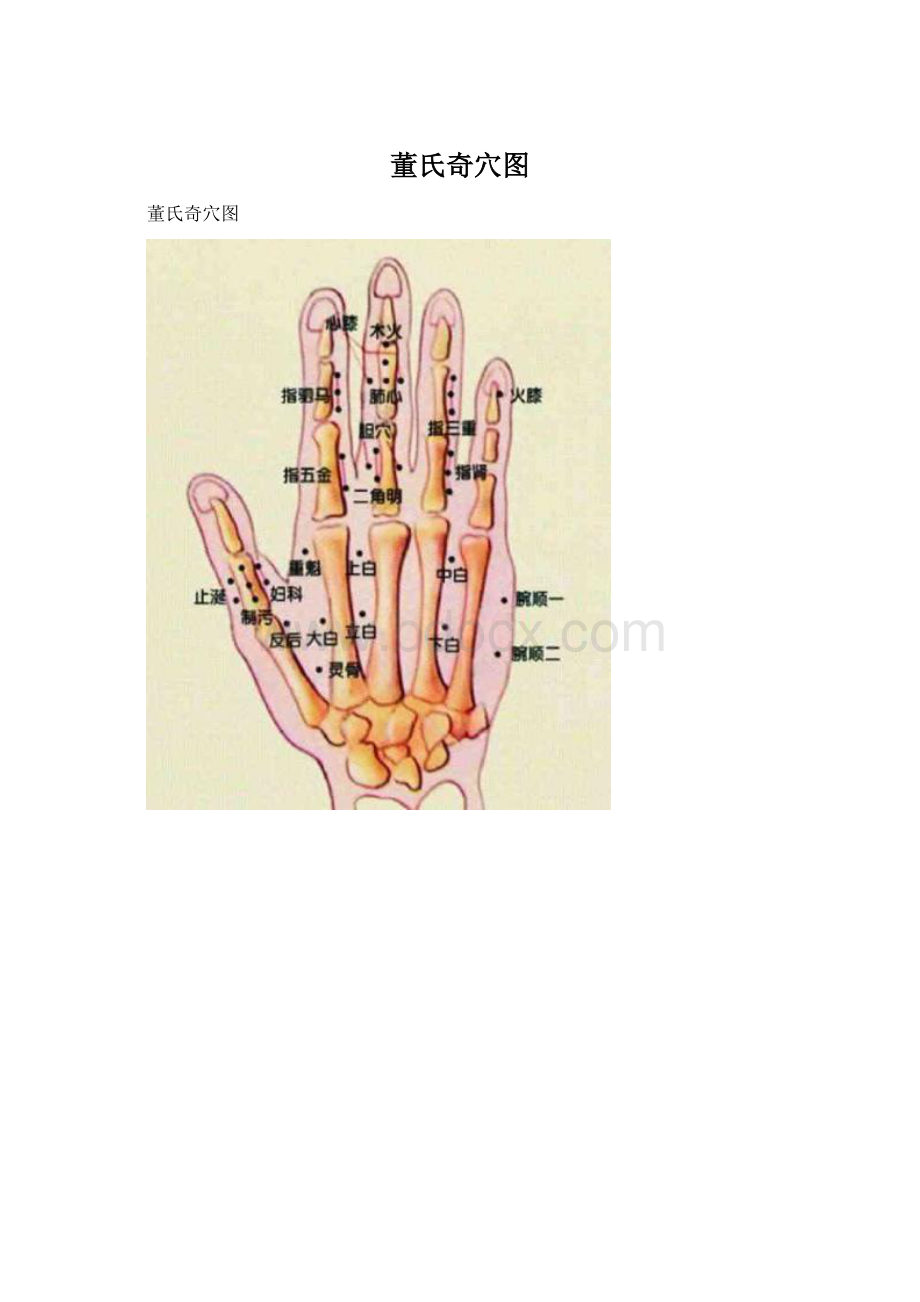 董氏奇穴图文档格式.docx_第1页