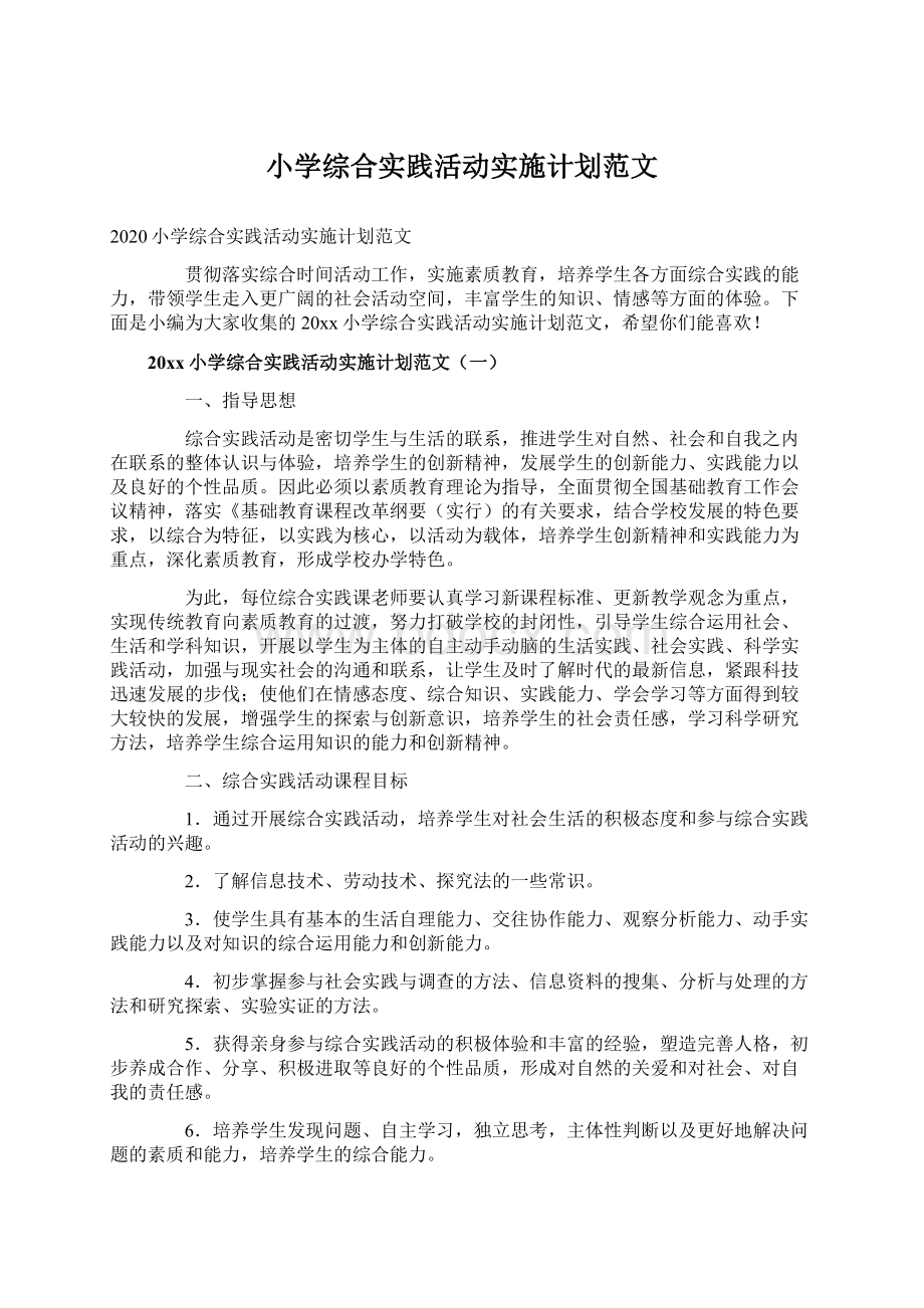 小学综合实践活动实施计划范文.docx