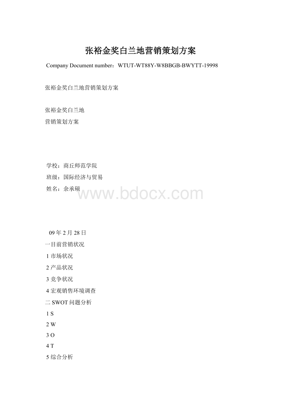 张裕金奖白兰地营销策划方案Word格式.docx