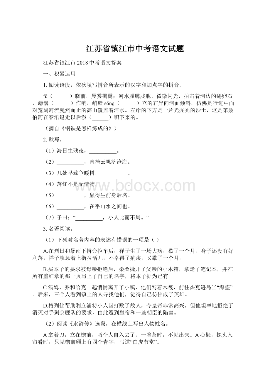 江苏省镇江市中考语文试题文档格式.docx