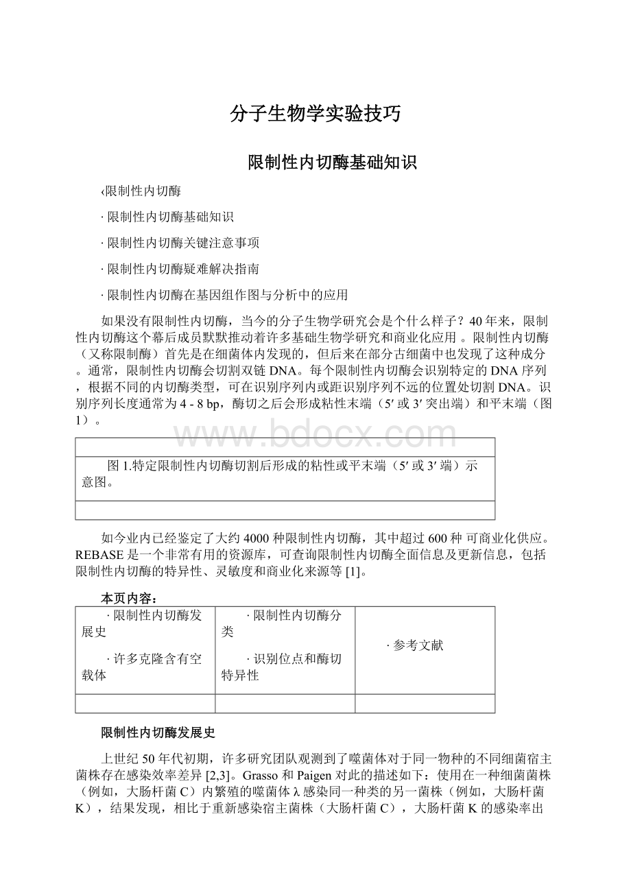 分子生物学实验技巧Word文档格式.docx