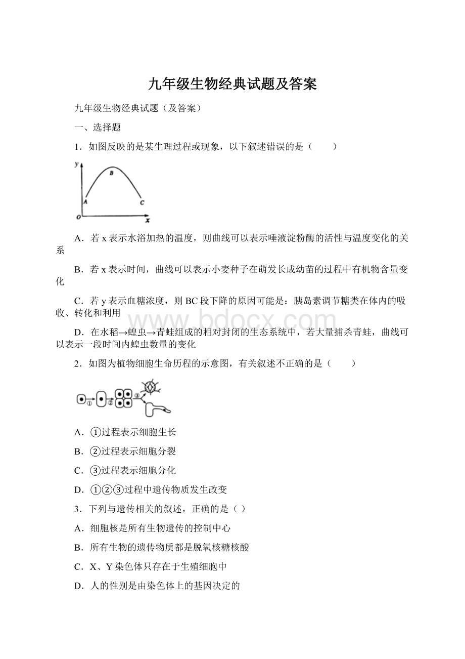 九年级生物经典试题及答案Word格式文档下载.docx_第1页