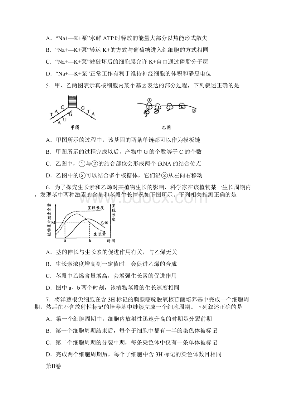 届四川省成都市高三第一次诊断适应性考试生物试题.docx_第2页