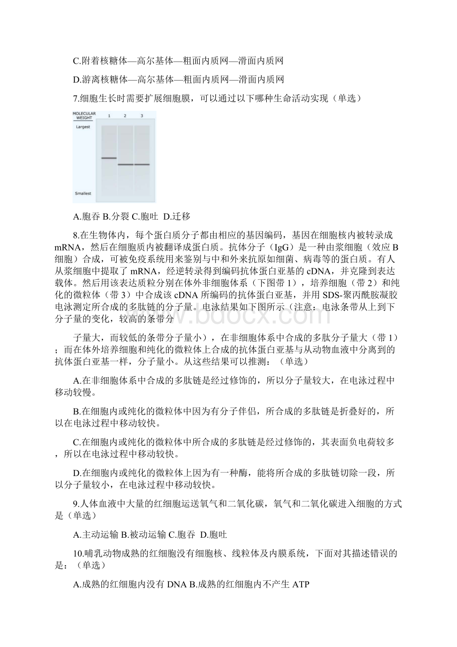 全国中学生生物学联赛试题及答案.docx_第2页