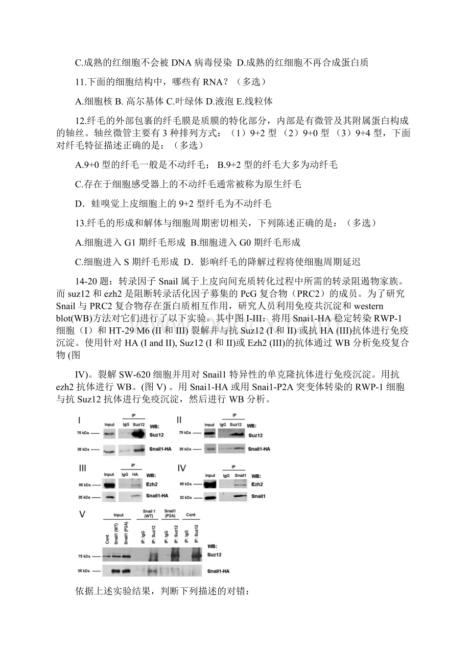 全国中学生生物学联赛试题及答案.docx_第3页