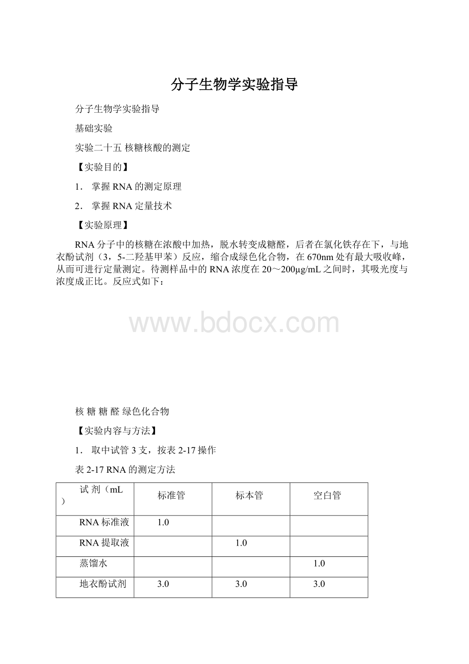 分子生物学实验指导Word文档下载推荐.docx